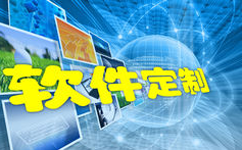 軟件開發定制